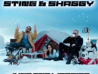 Sting & Shaggy - Just One Lifetime