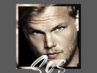 Avicii Feat. Aloe Blacc - SOS