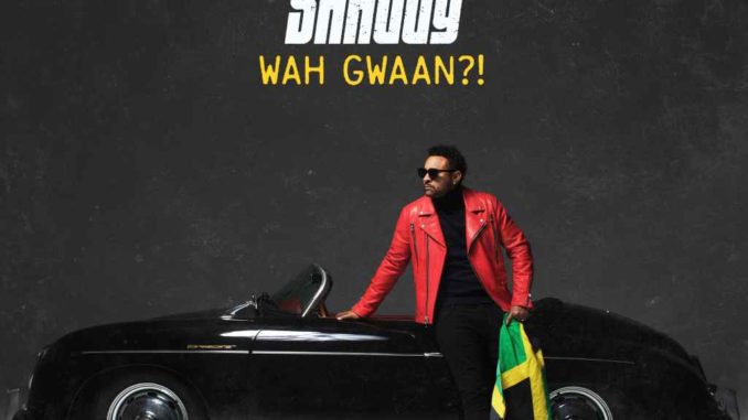 Shaggy Featuring Alexander Stewart - You