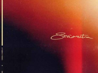 Shawn Mendes & Camila Cabello - Se&ntilde;orita