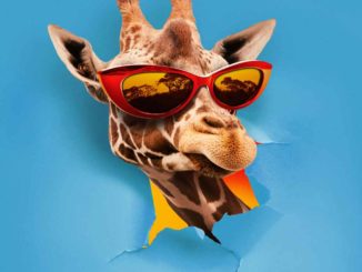 Takagi & Ketra, OMI, Giusy Ferreri - JAMBO