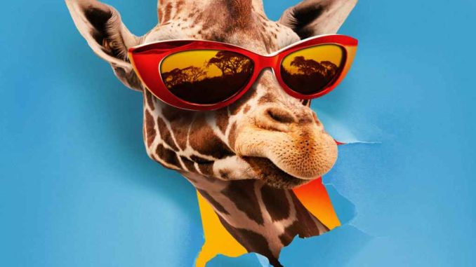 Takagi & Ketra, OMI, Giusy Ferreri - JAMBO