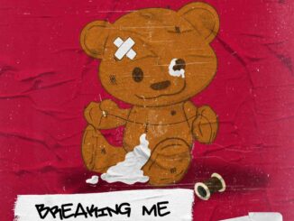 Topic, A7S - Breaking Me