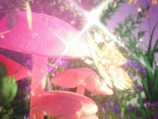 Calvin Harris & The Weeknd - Over Now