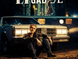 Ligabue - La ragazza dei tuoi sogni