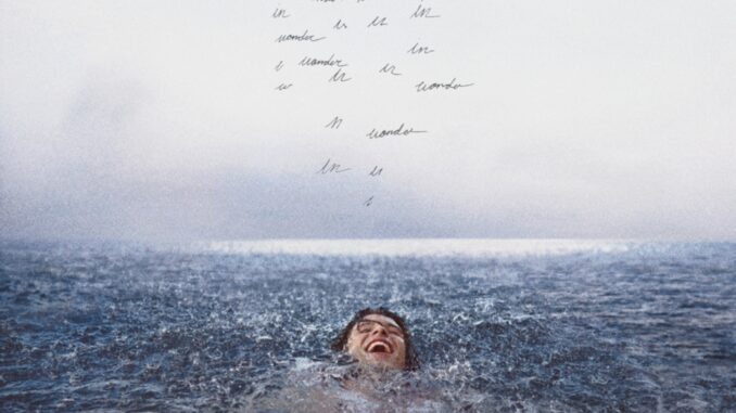 Shawn Mendes - Wonder