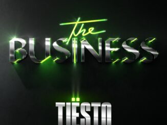 Tiësto - The Business