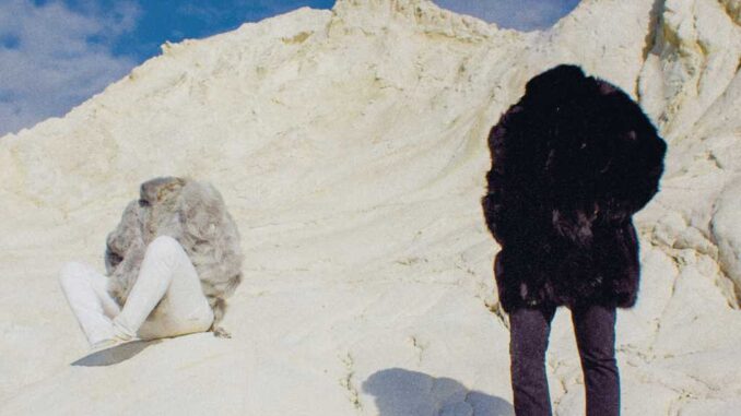 Colapesce e Dimartino - Musica leggerissima