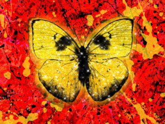 Ed Sheeran - Shivers