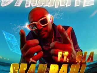 Sean Paul Feat. Sia - Dynamite