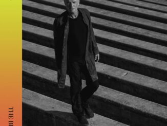 Sting - If It's Love