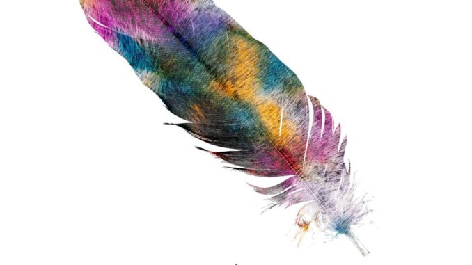 Zucchero - Follow you follow me