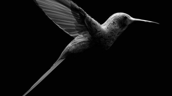 Cesare Cremonini - Colibrì