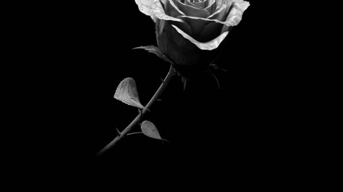 Cesare Cremonini - La Ragazza Del Futuro