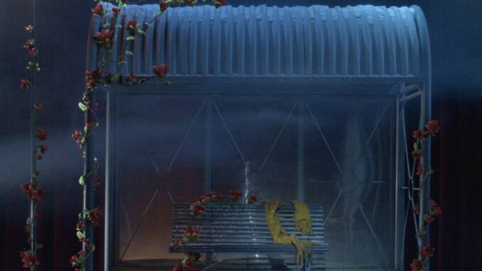 Michele Bravi - Inverno dei fiori