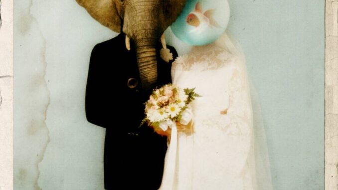 Pinguini Tattici Nucleari - Ricordi