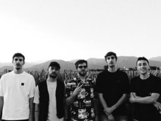 Still Noise - Guacamole