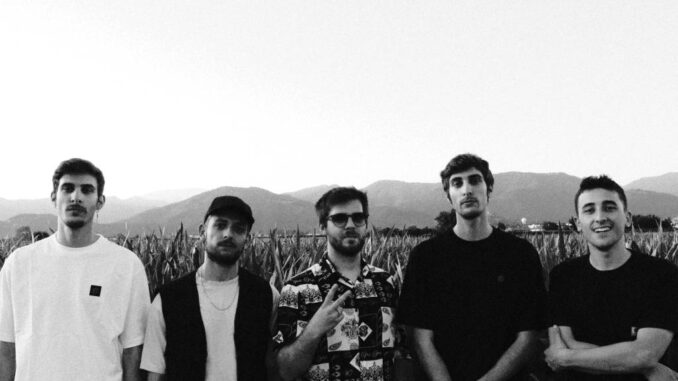 Still Noise - Guacamole