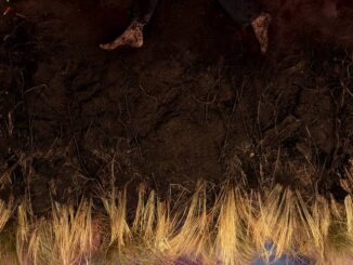 Hozier - Eat Your Young