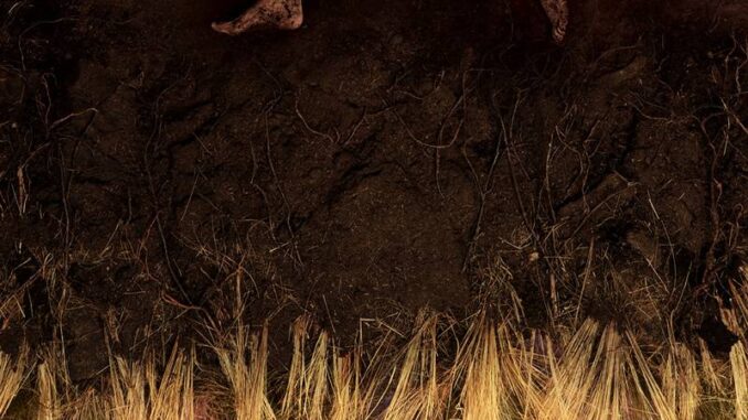 Hozier - Eat Your Young