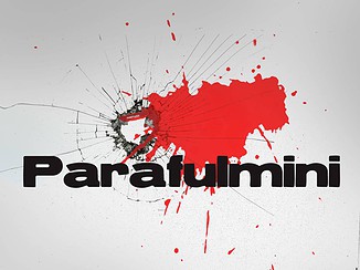 ERNIA (con BRESH & FABRI FIBRA) - Parafulmini