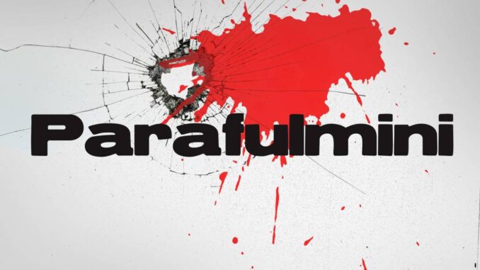 ERNIA (con BRESH & FABRI FIBRA) - Parafulmini