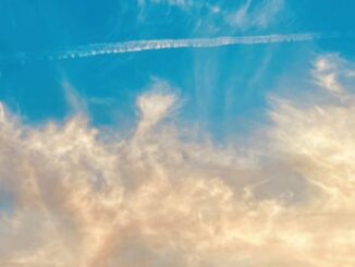 Thirty Seconds To Mars - Seasons