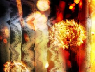 Marshmello, P!nk & Sting - Dreaming