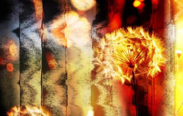 Marshmello, P!nk & Sting - Dreaming