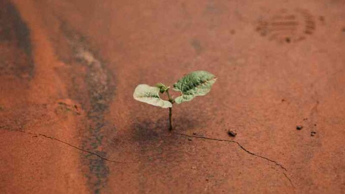 Diodato - Un Atto Di Rivoluzione