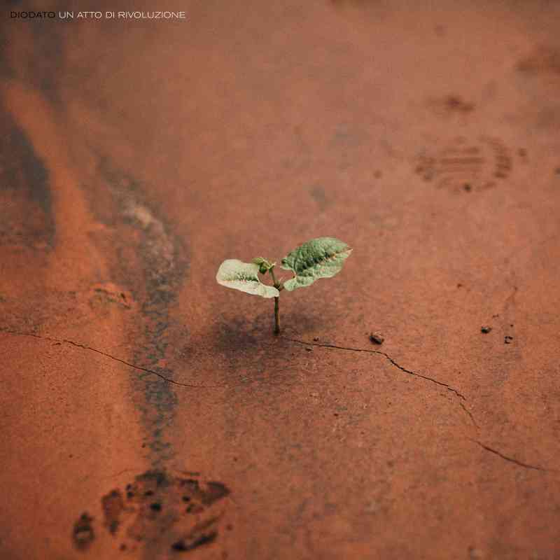 Diodato - Un Atto Di Rivoluzione
