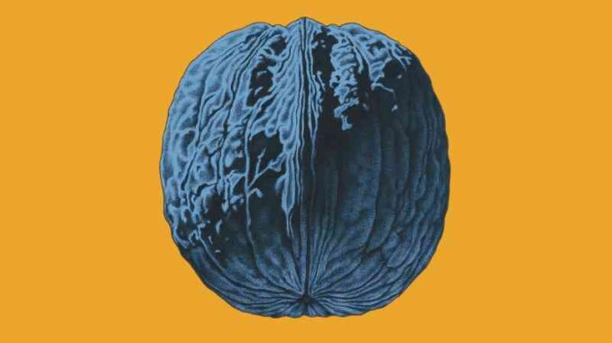 Brunori Sas - L'albero delle noci