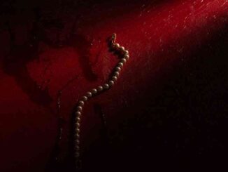 Elodie - Dimenticarsi alle 7