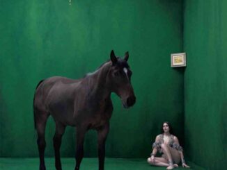 Gaia - Chiamo io chiami tu