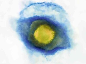 Simone Cristicchi - Quando sarai piccola