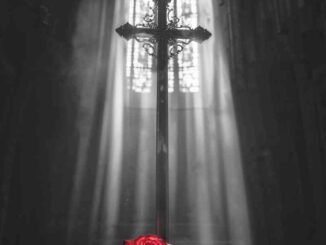 Ava Max - Lost Your Faith