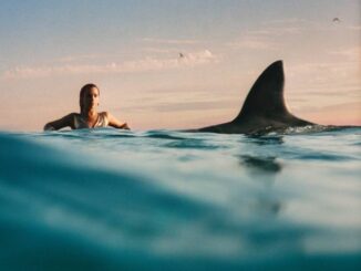 Dua Lipa - End Of An Era