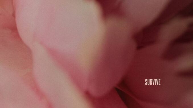 Lewis Capaldi - Survive