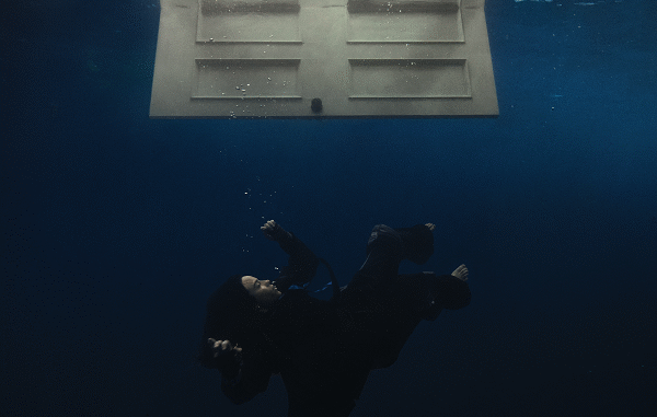 Billie Eilish - Wildflower