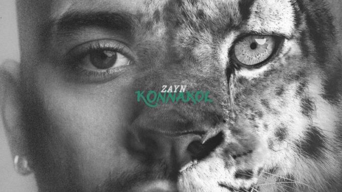 ZAYN&nbsp;-&nbsp;Die For Me