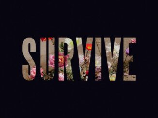 Lewis Capaldi&nbsp;-&nbsp;Stay Love