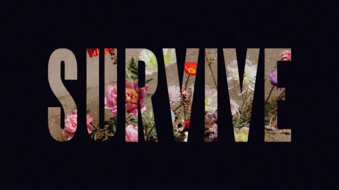 Lewis Capaldi - Stay Love