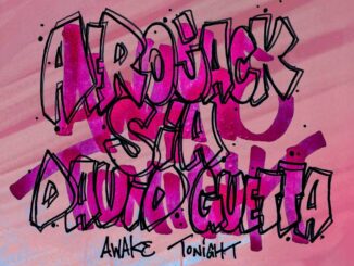 AFROJACK, Sia, David Guetta&nbsp;-&nbsp;Awake Tonight