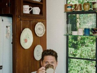 NIALL HORAN&nbsp;-&nbsp;Dinner Party