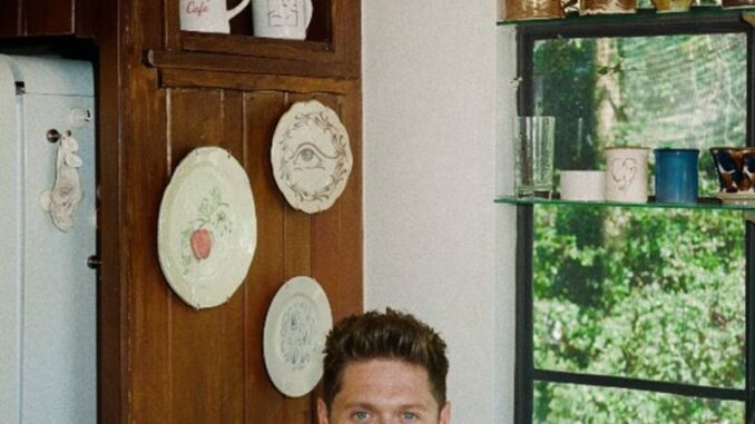 NIALL HORAN&nbsp;-&nbsp;Dinner Party