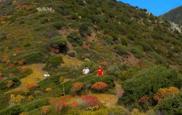Faccianuvola Portami a Ballare in Primavera