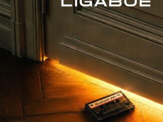 Ligabue Qualcosa per Te Video Testo Significato