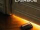 Ligabue Qualcosa per Te Video Testo Significato